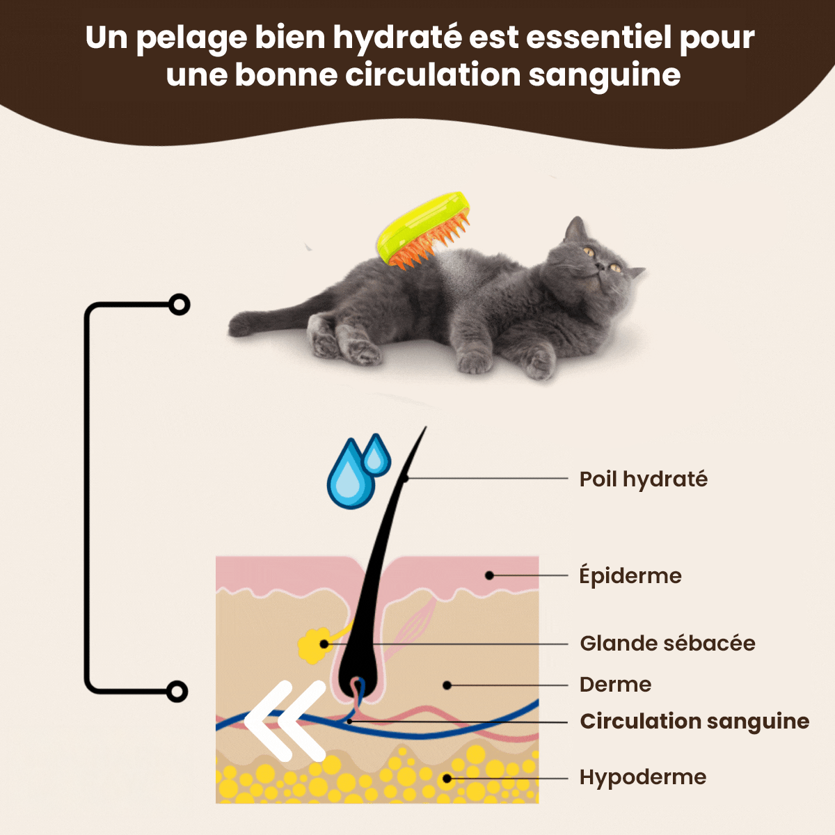 Brosse Vapeur Rafraîchissante pour Poils d'Animaux - Chats & Chiens