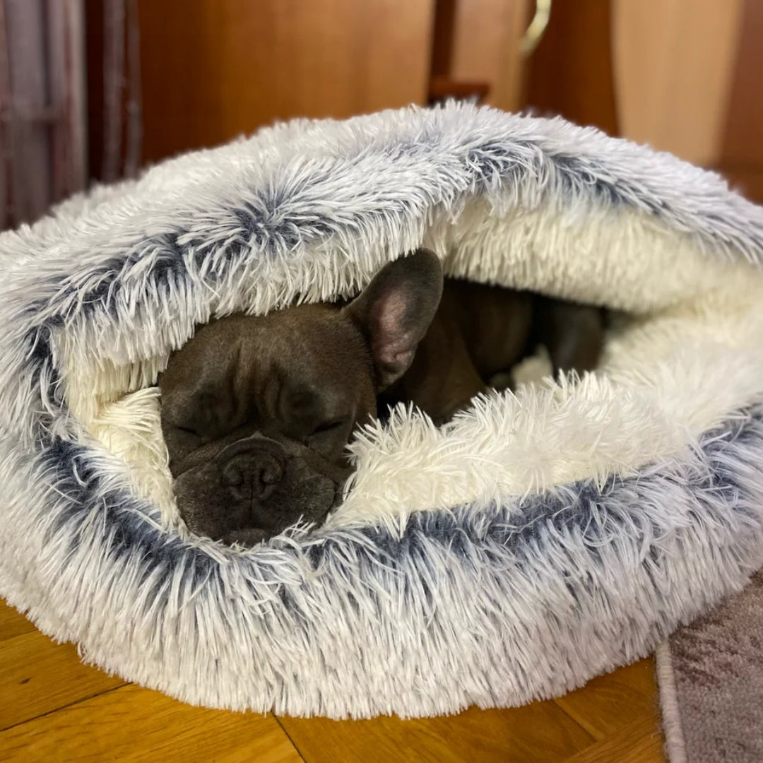 Lit coussin apaisant anti-stress pour chat et petit chien