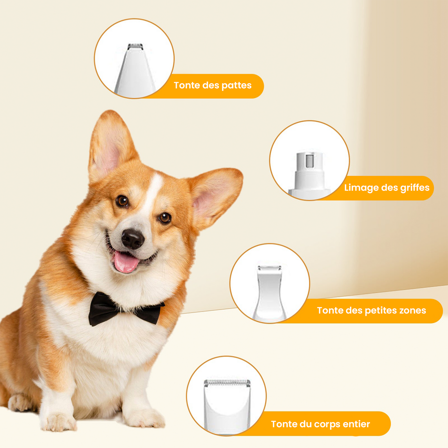 Tondeuse silencieuse sans fil pour chien et chat – Kit toilettage 4-en-1