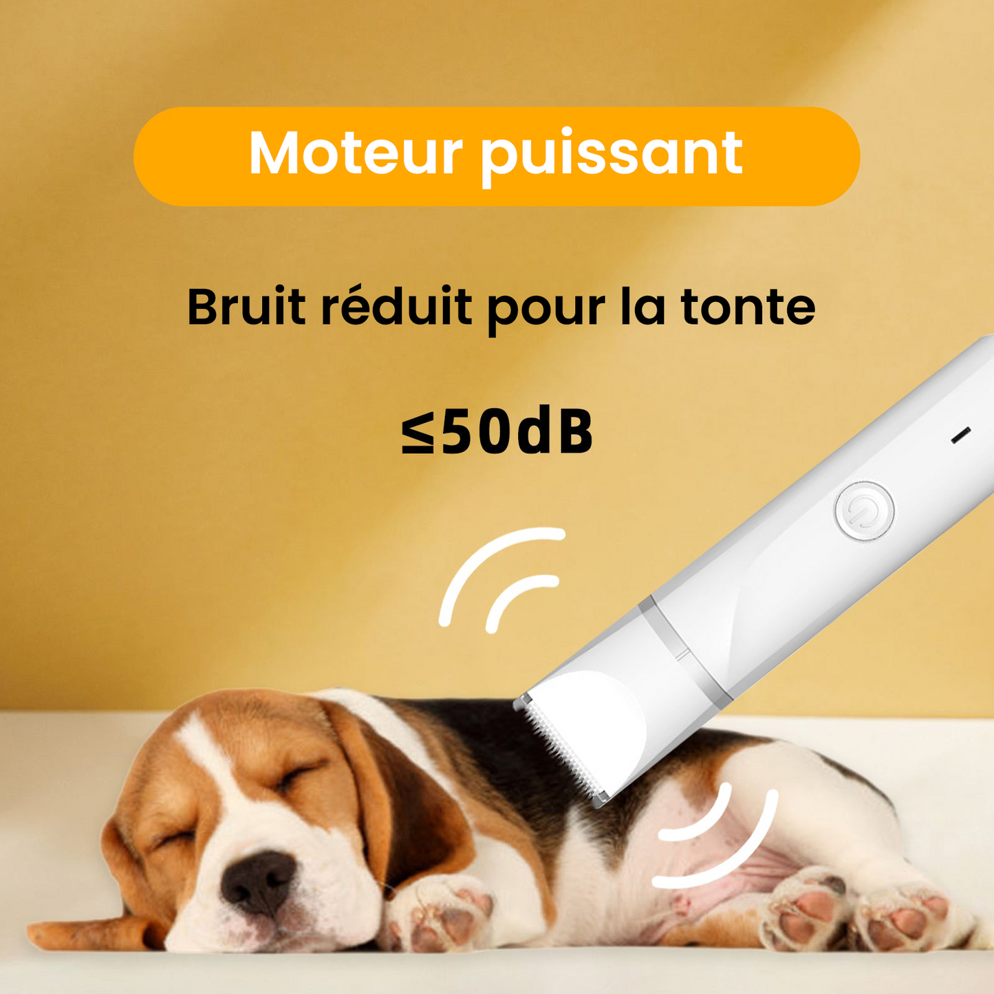 Tondeuse silencieuse sans fil pour chien et chat – Kit toilettage 4-en-1