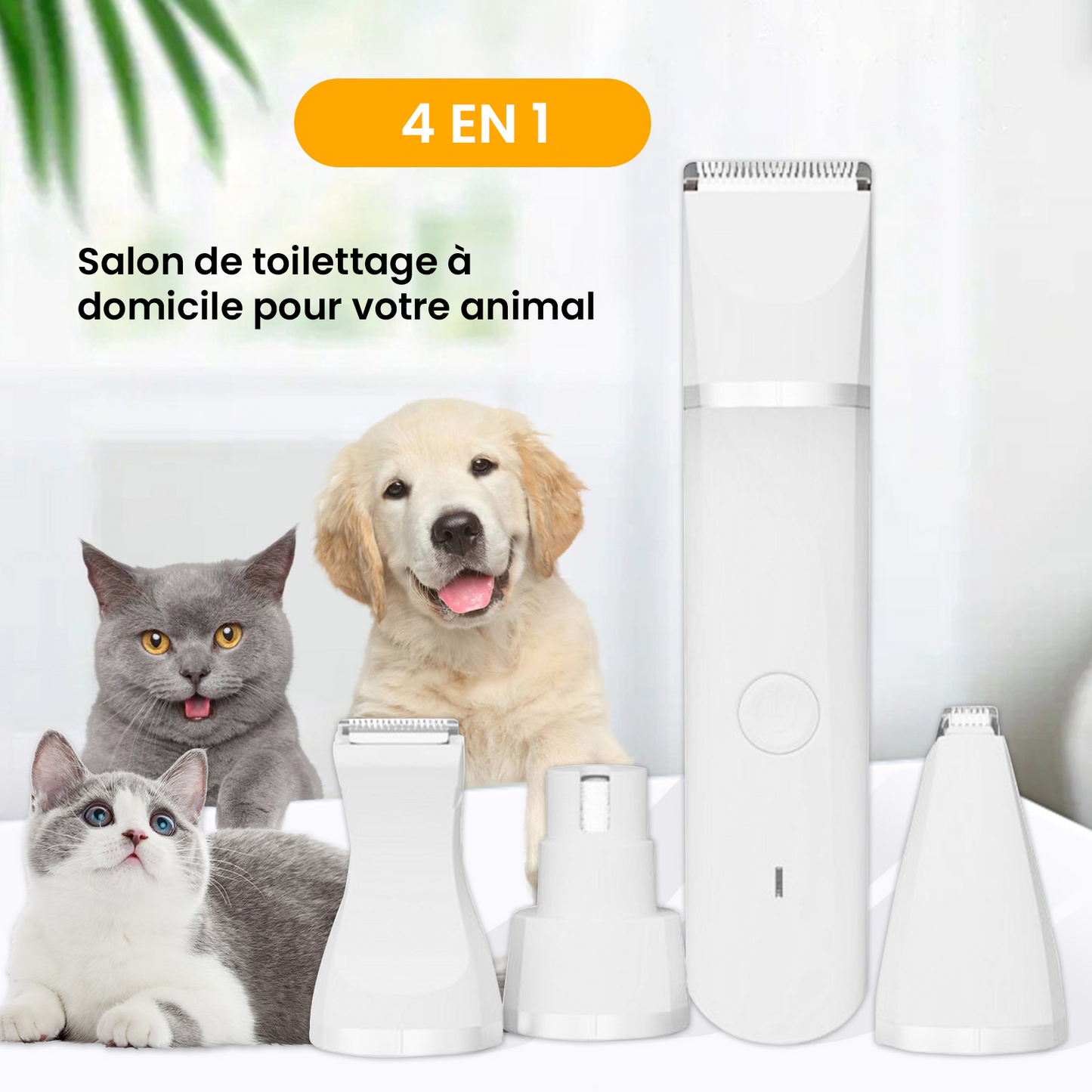 Tondeuse silencieuse sans fil pour chien et chat – Kit toilettage 4-en-1