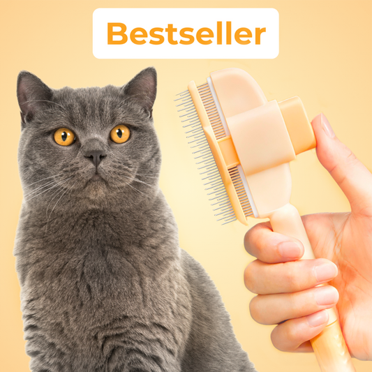 Brosse autonettoyante pour chat – Élimine les poils morts sans douleur