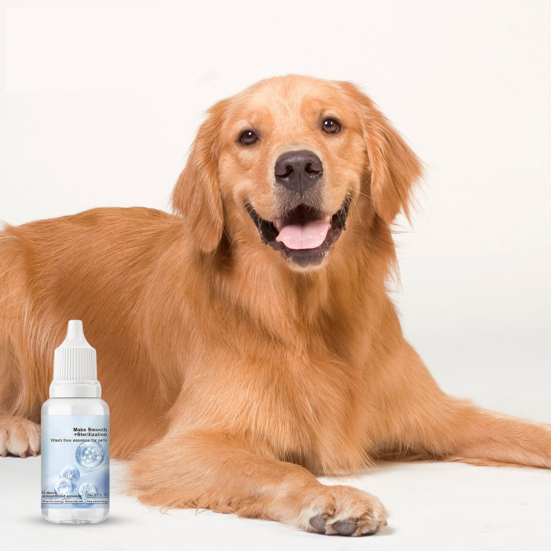 Shampooing gouttes rafraîchissantes inodore pour pelage de chien et chat
