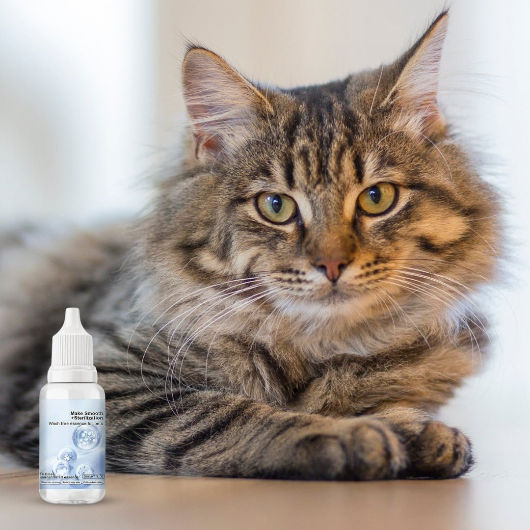 Shampooing gouttes rafraîchissantes inodore pour pelage de chien et chat