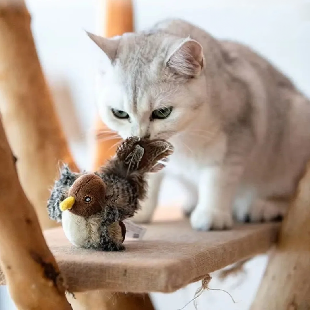 Oiseau Jouet Interactif pour Chat avec Sons Réalistes - Petit Moineau
