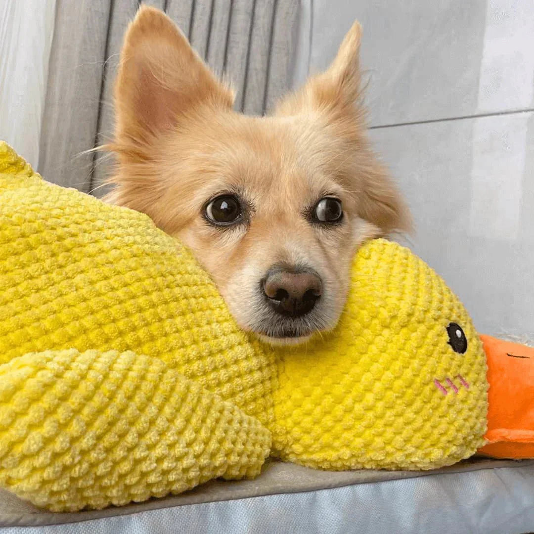 Ducko – Jouet Canard Apaisant Pour Chiens
