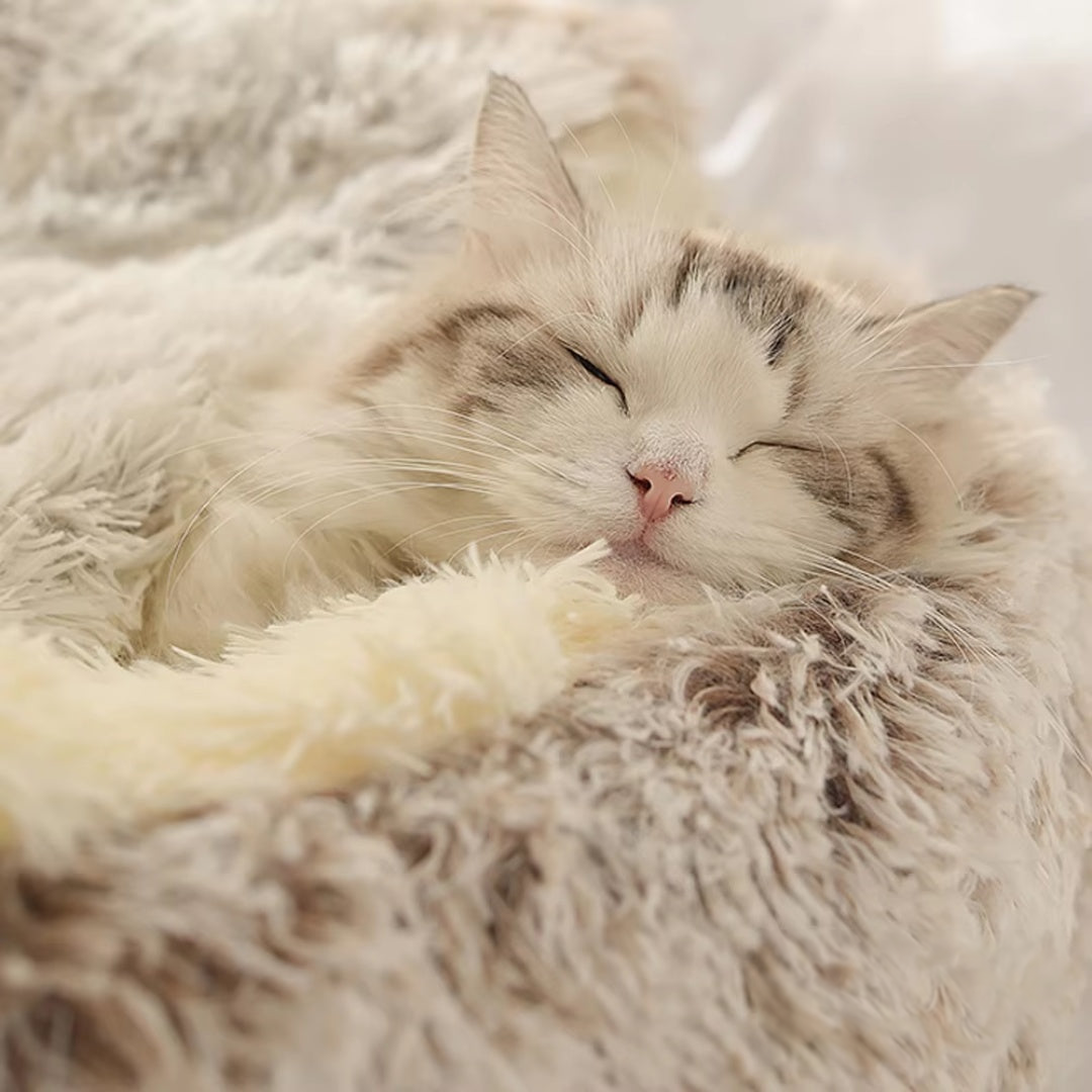 Lit coussin apaisant anti-stress pour chat et petit chien