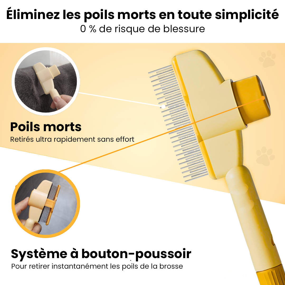 Brosse autonettoyante pour chat – Élimine les poils morts sans douleur