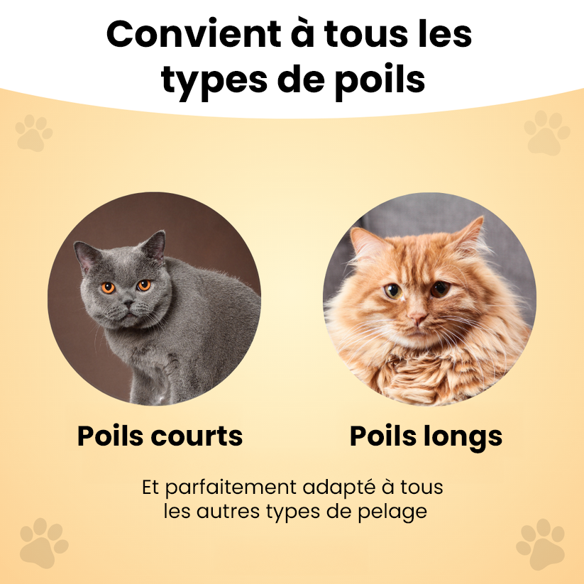Brosse autonettoyante pour chat – Élimine les poils morts sans douleur