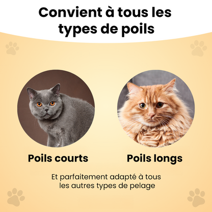 Brosse autonettoyante pour chat – Élimine les poils morts sans douleur