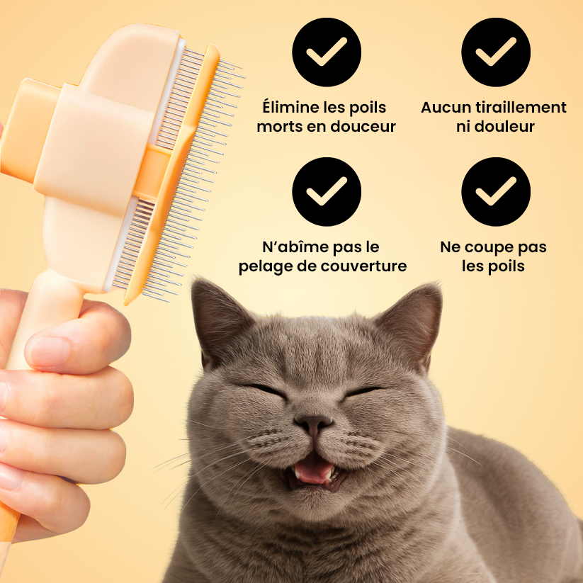 Brosse autonettoyante pour chat – Élimine les poils morts sans douleur