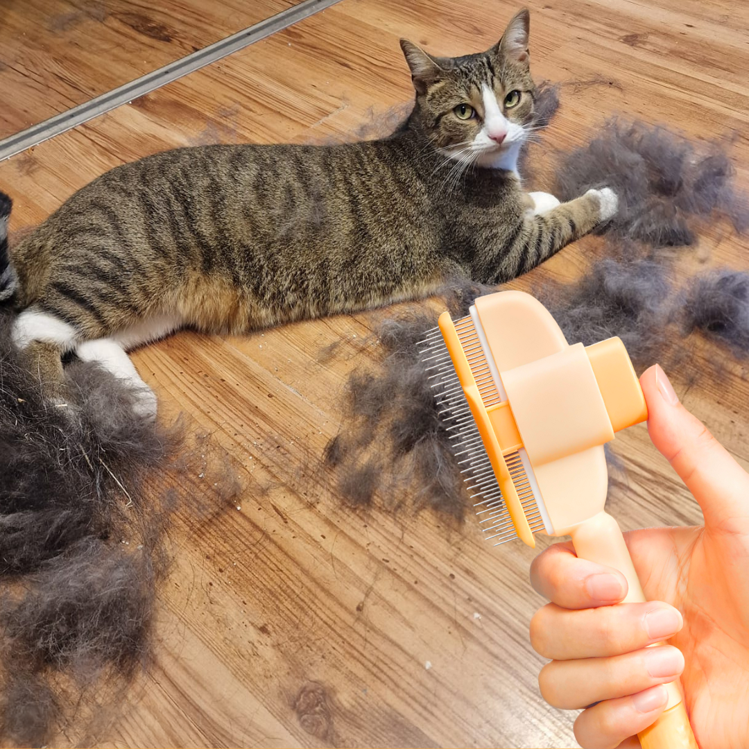 Brosse autonettoyante pour chat – Élimine les poils morts sans douleur