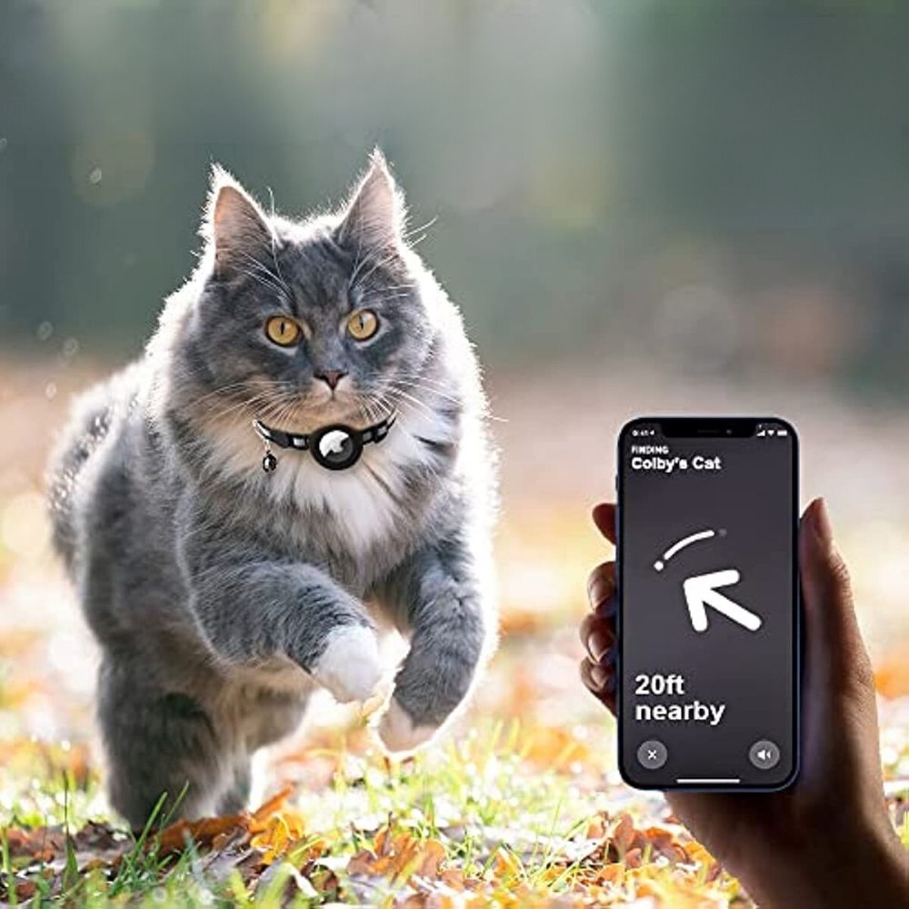 SafePaws – Collier Réfléchissant pour Chat avec Fermeture de Sécurité