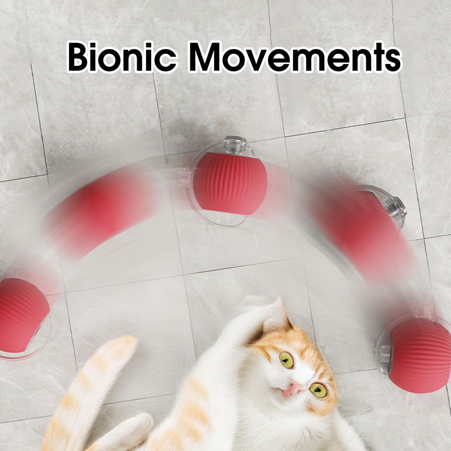Boule Interactif pour Animaux pour Divertissement