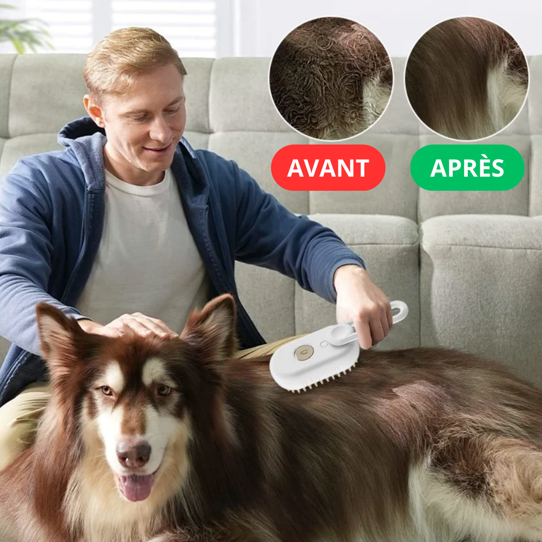 Brosse démêlante pour chien et chat avec spray – Anti-poils morts et soin hydratant