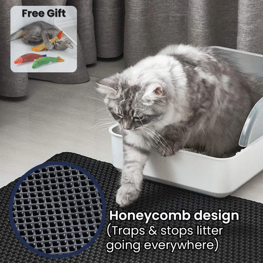 Tapis à Litière Innovant pour Chat
