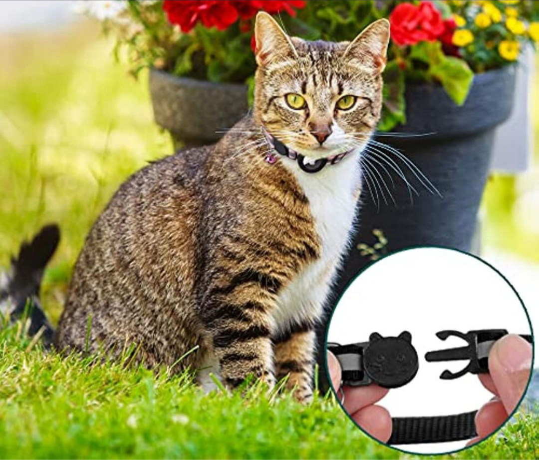 SafePaws – Collier Réfléchissant pour Chat avec Fermeture de Sécurité