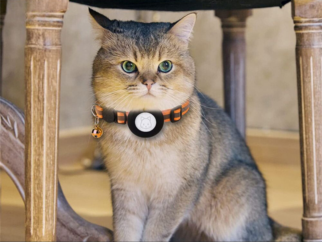SafePaws – Collier Réfléchissant pour Chat avec Fermeture de Sécurité
