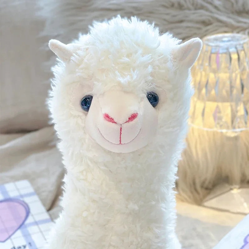 Lunara – Coussin Alpaga Doux et Confortable