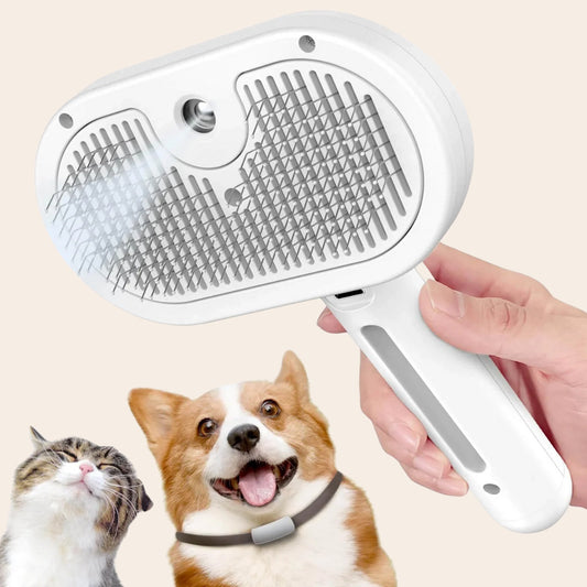 Brosse de toilettage pour chien et chat avec brumisateur