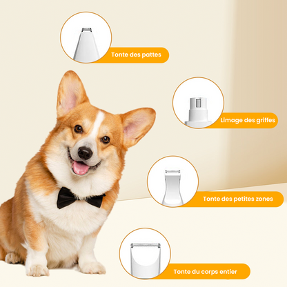 Tondeuse silencieuse sans fil pour chien et chat – Kit toilettage 4-en-1