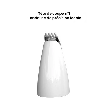 Tondeuse silencieuse sans fil pour chien et chat – Kit toilettage 4-en-1