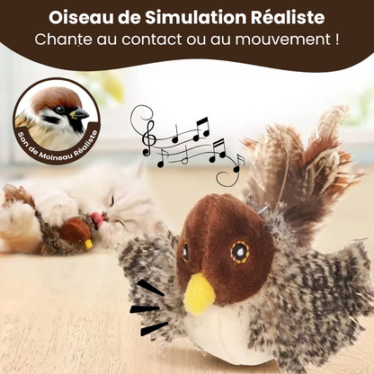 Oiseau Jouet Interactif pour Chat avec Sons Réalistes - Petit Moineau