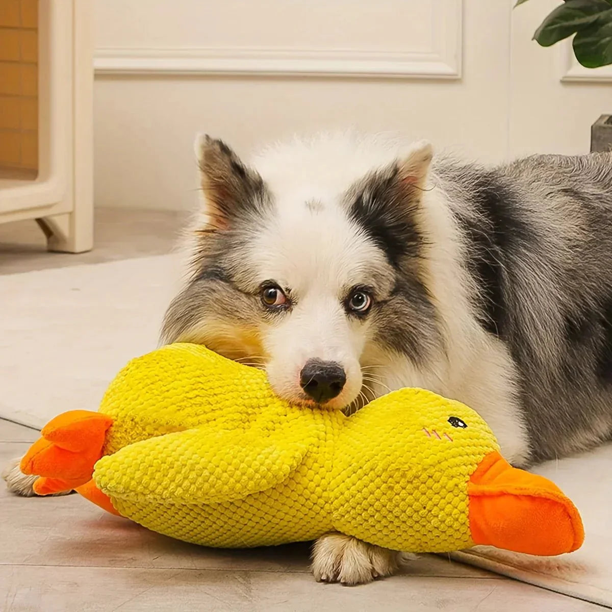 Ducko – Jouet Canard Apaisant Pour Chiens