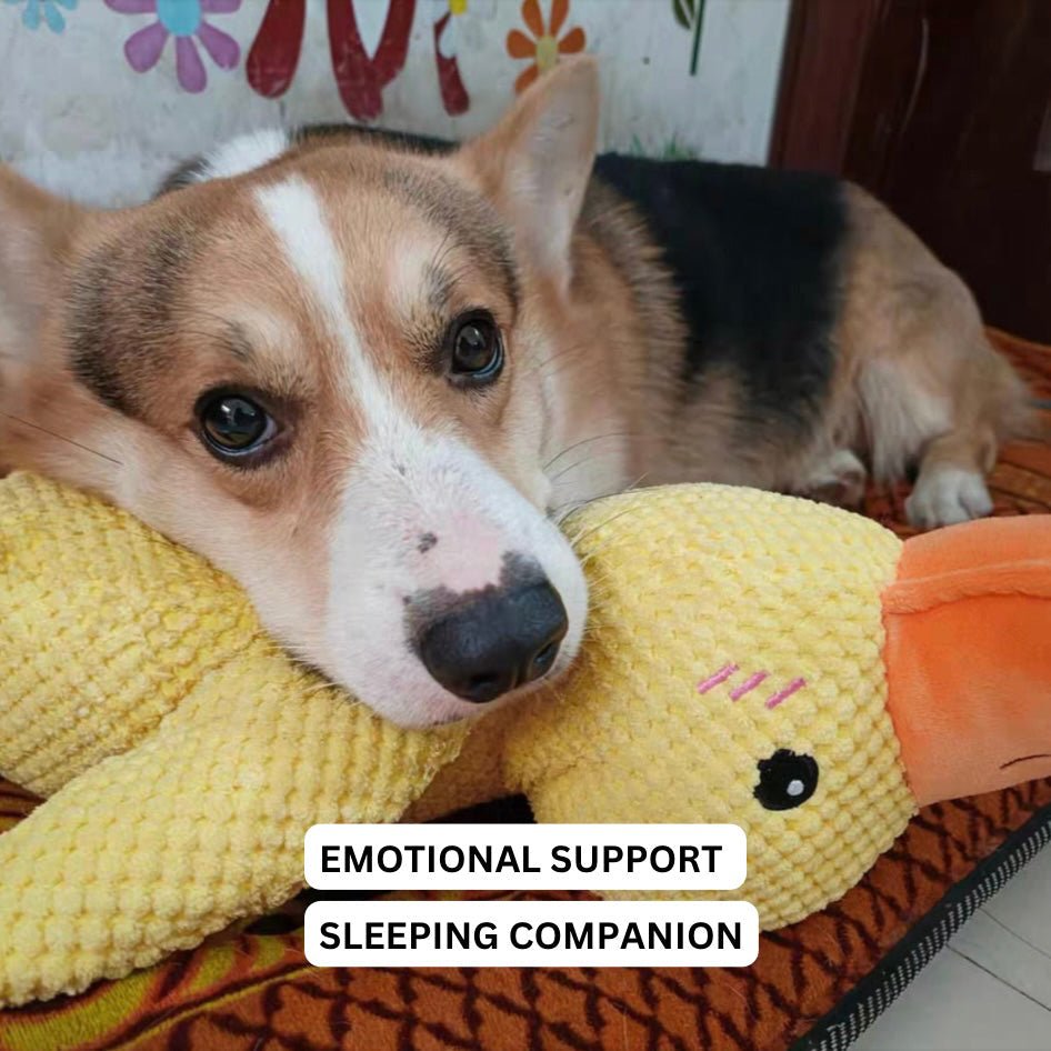 Ducko – Jouet Canard Apaisant Pour Chiens