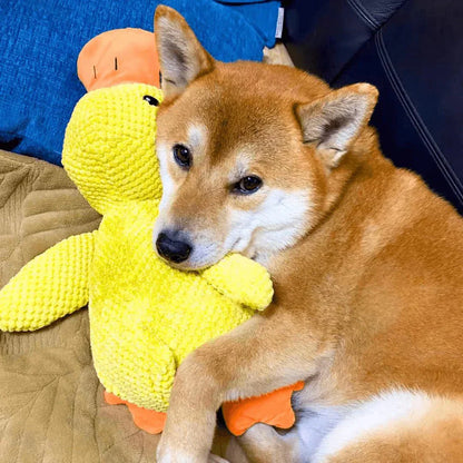 Ducko – Jouet Canard Apaisant Pour Chiens