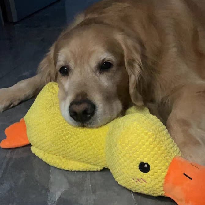 Ducko – Jouet Canard Apaisant Pour Chiens