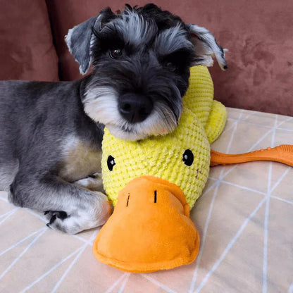 Ducko – Jouet Canard Apaisant Pour Chiens