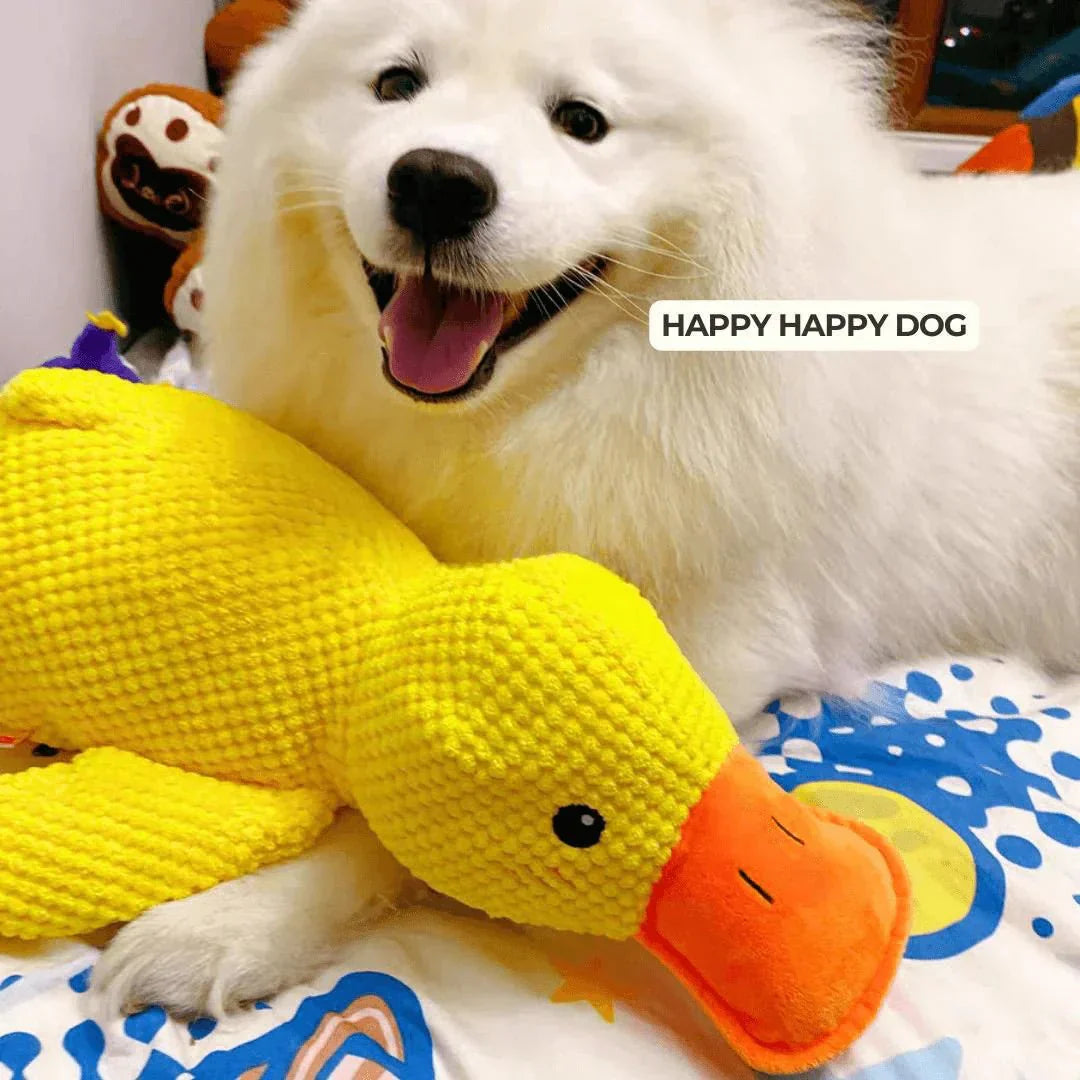 Ducko – Jouet Canard Apaisant Pour Chiens