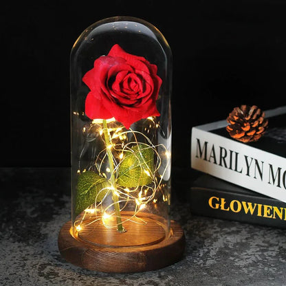 Solène – Rose Préservée sous Cloche en Verre avec LED