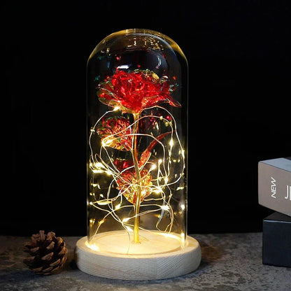 Solène – Rose Préservée sous Cloche en Verre avec LED