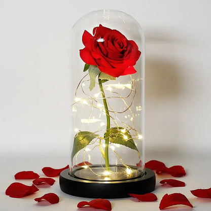Solène – Rose Préservée sous Cloche en Verre avec LED