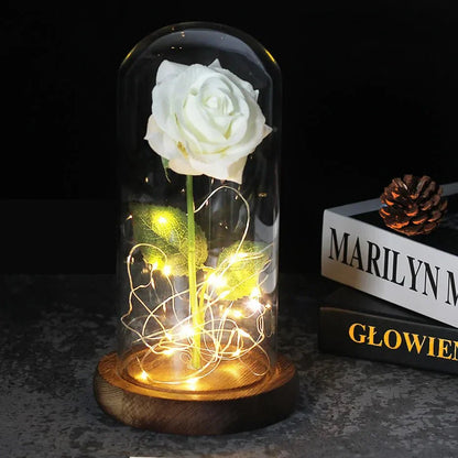 Solène – Rose Préservée sous Cloche en Verre avec LED